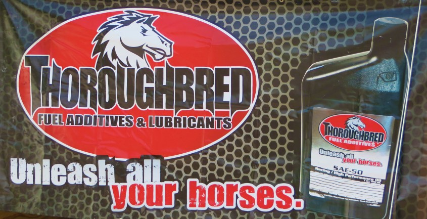 thoroughbred banner